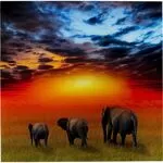 Πίνακας Γυάλινος Ελέφαντες Στην Σαβάνα Μπλε-Πορτοκαλί 100x100 εκ.
