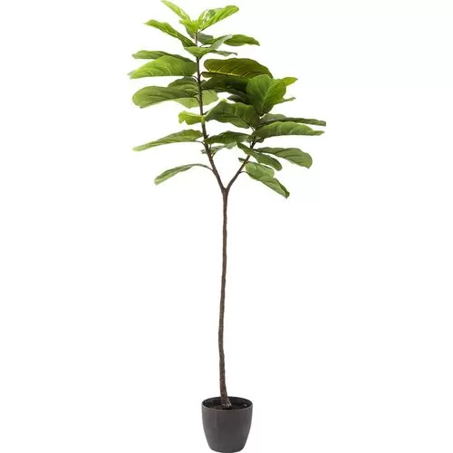 Διακοσμητικό Φυτό Leaf Tree 170 εκ.